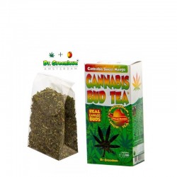 100% tea alla cannabis sweet mango - 20g sfuso Dr GreenLove