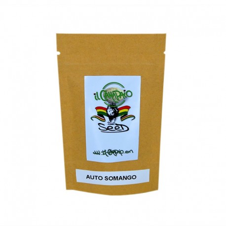 AUTO SOMANGO