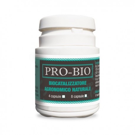 Pro-Bio 4 Capsule BioMagno